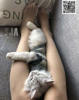 宝贝真乖_DVD免费观看超清
